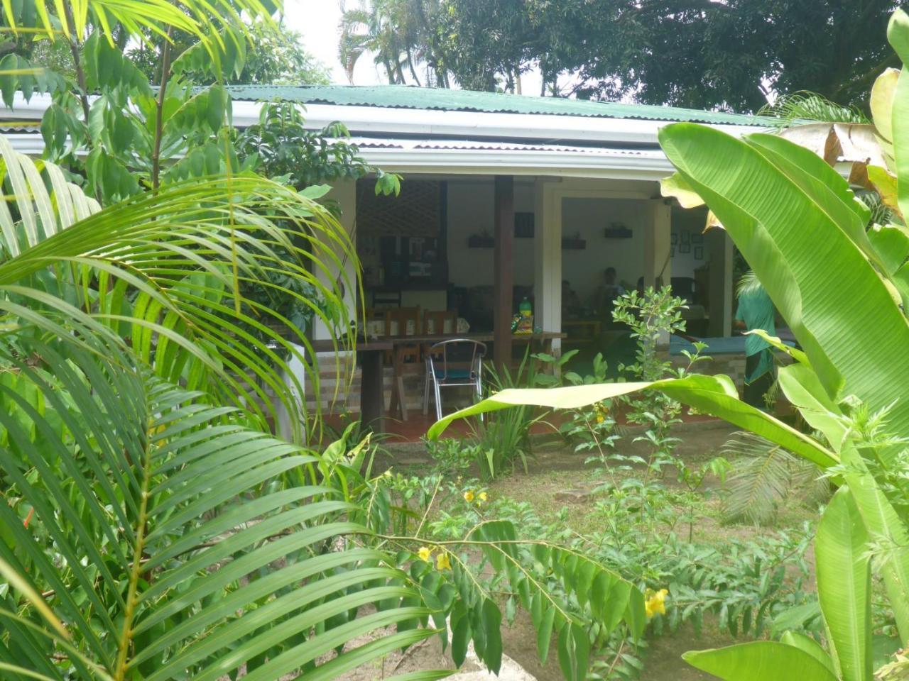 Aracari Garden Hostel Tortuguero Exterior photo