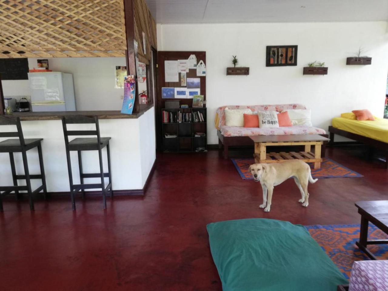 Aracari Garden Hostel Tortuguero Exterior photo