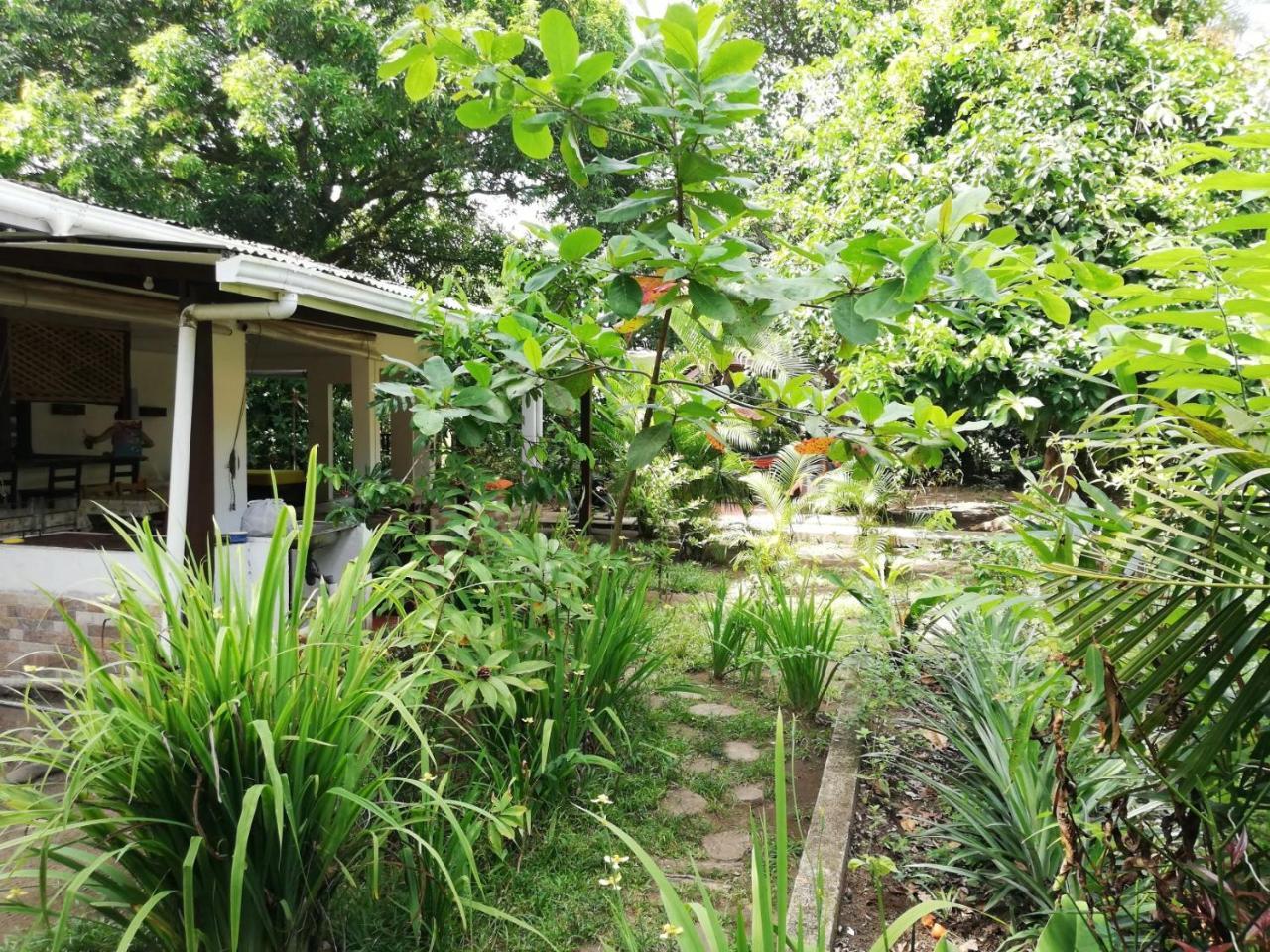 Aracari Garden Hostel Tortuguero Exterior photo
