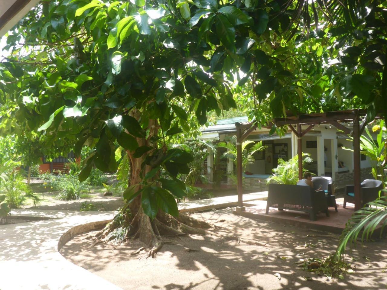 Aracari Garden Hostel Tortuguero Exterior photo
