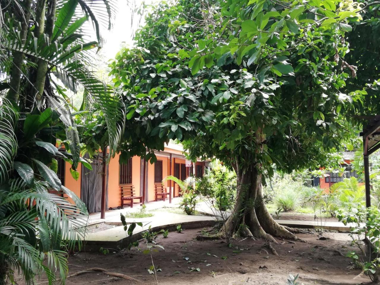 Aracari Garden Hostel Tortuguero Exterior photo
