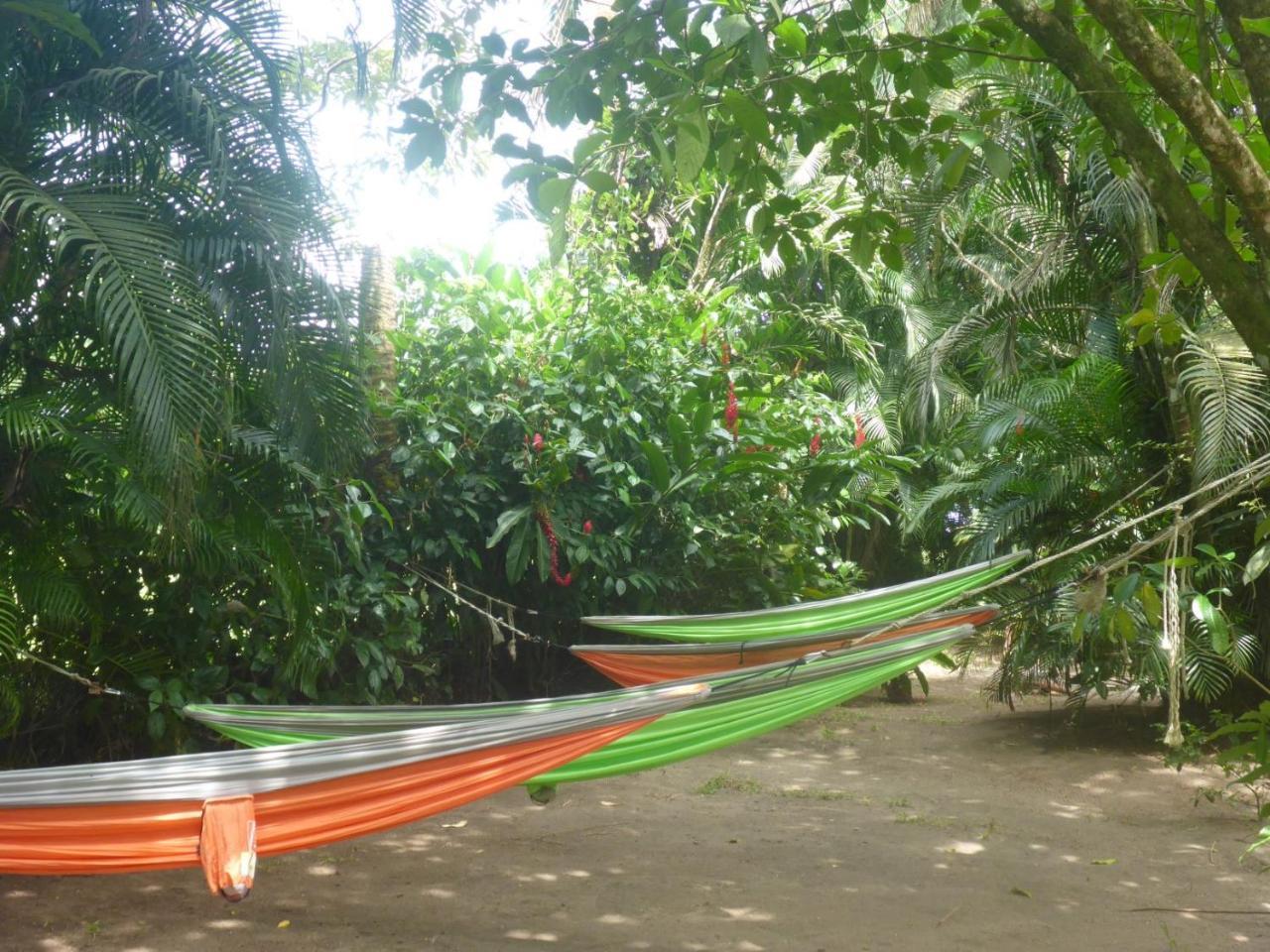 Aracari Garden Hostel Tortuguero Exterior photo